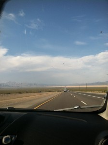 Vegas or Bust
