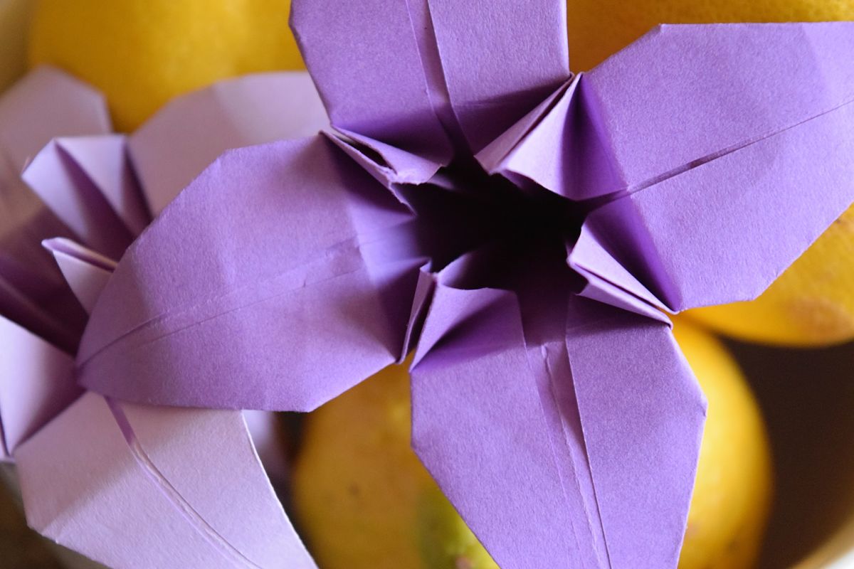 5 reasons fodling an origami lily is better than gardening flower bedsFAvemom.com