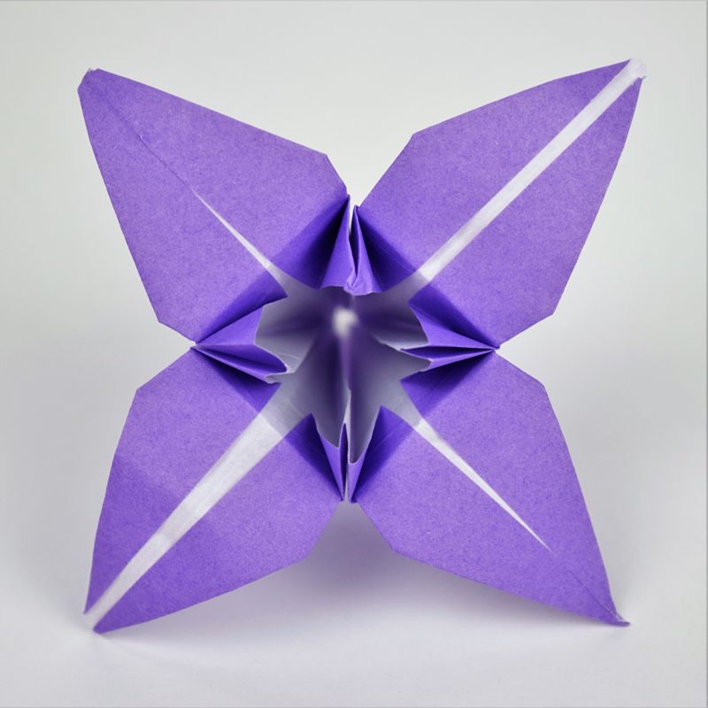 purple paper origami lily flower on white background