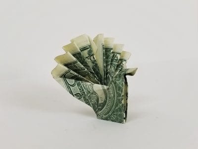 money origami turkey 