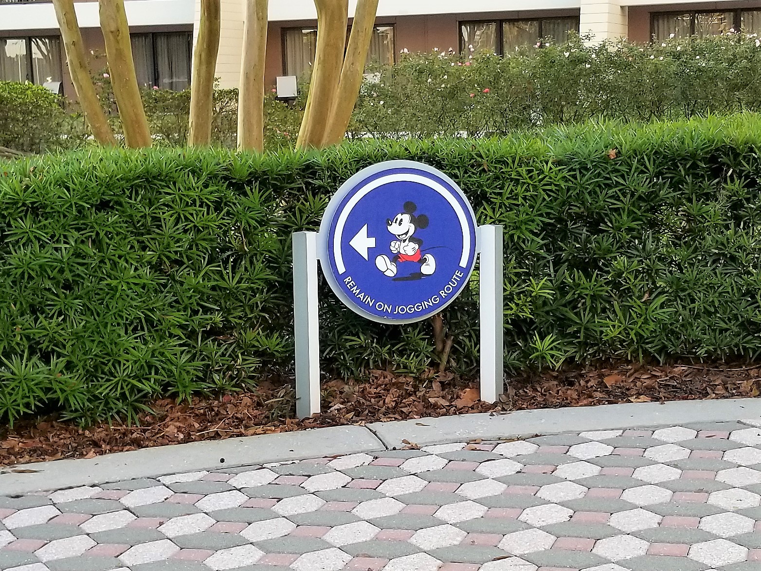 "Jogging Path" at Disney World's Contemprary Report